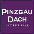 10080_Pinzgau Dach-neu_1653903806.jpg